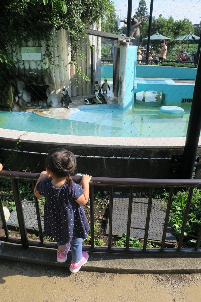 上野動物園 (10)