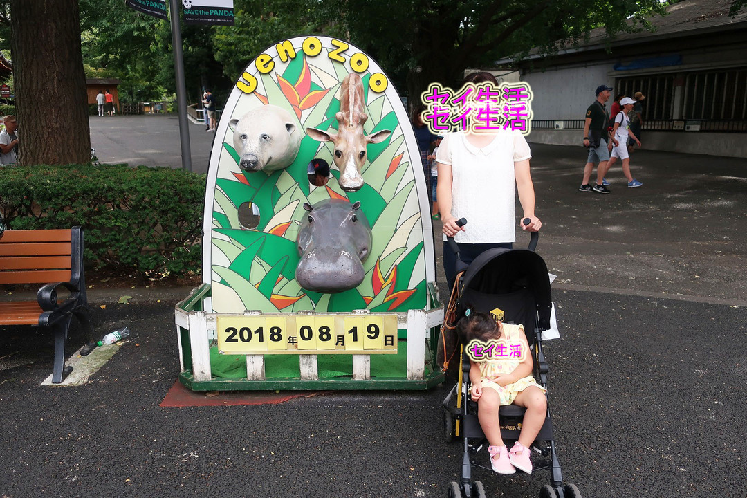 上野動物園 (18)