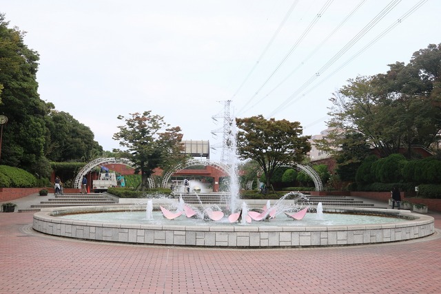 7d74a5f3.jpg