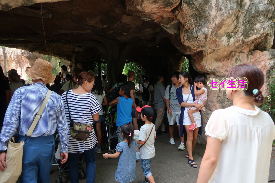 上野動物園 (8)