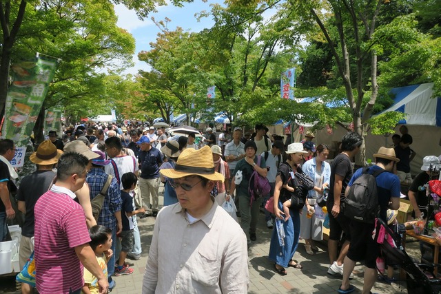 江戸川金魚まつり (11)