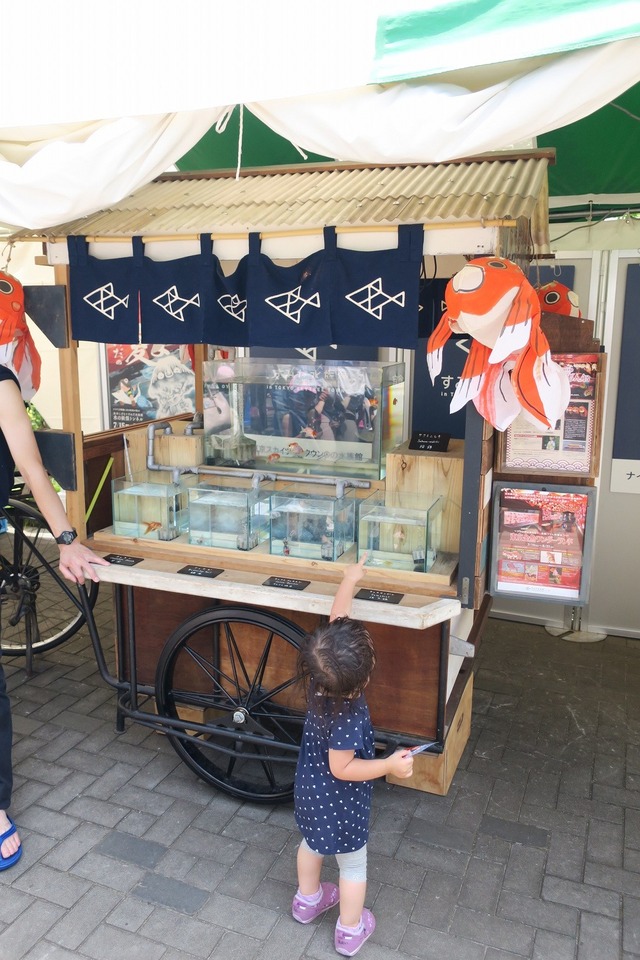 江戸川金魚まつり (16)
