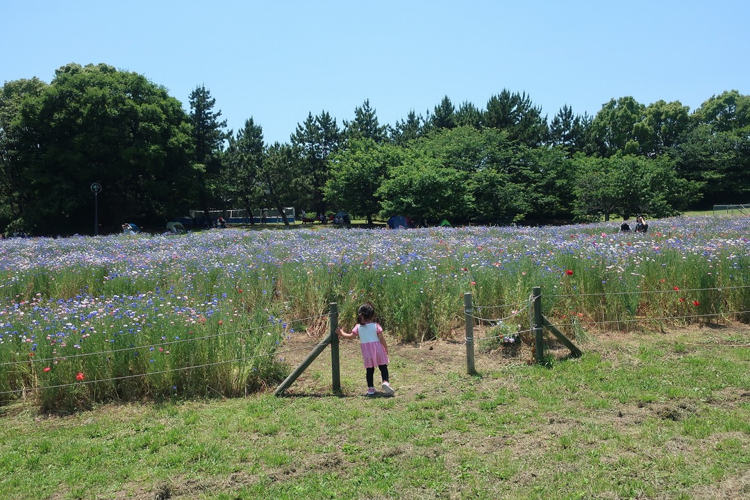 葛西臨海公園 (5)