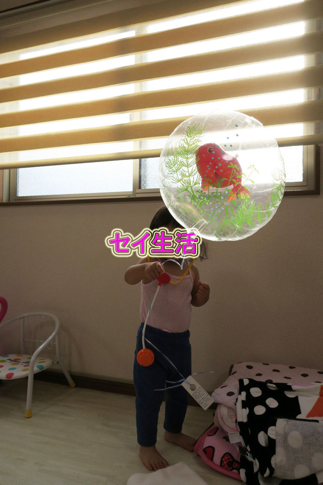 江戸川金魚まつり (18)