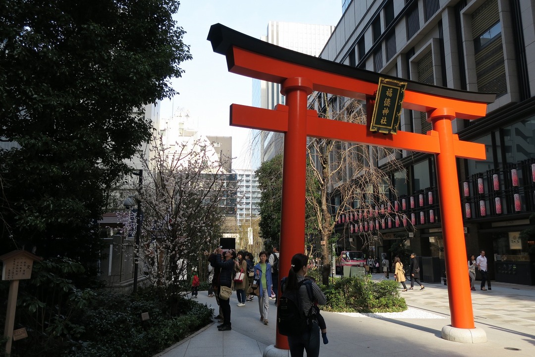 日本橋 (7)