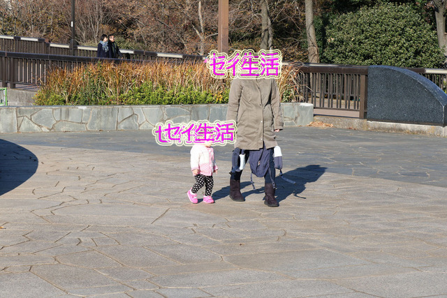 散歩 (29)