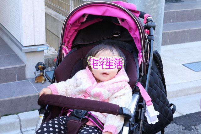 散歩 (2)
