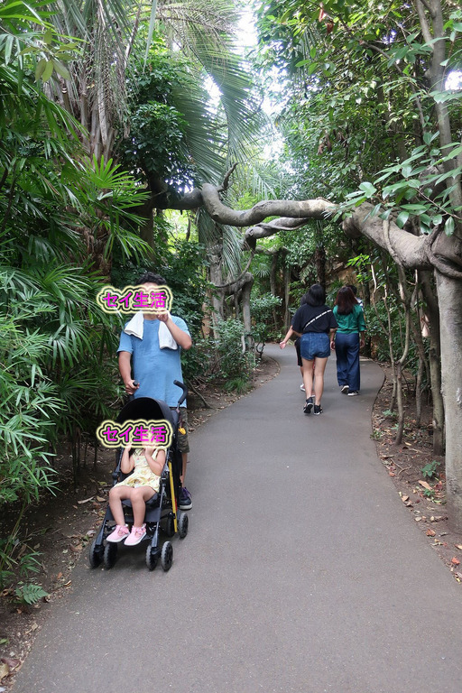 上野動物園 (14)