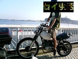 XL250s