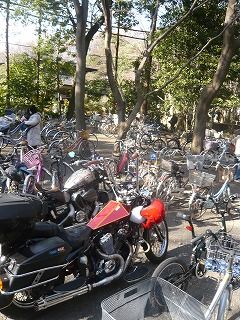 新年2010深大寺 (3)