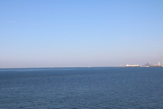 44f31226.jpg