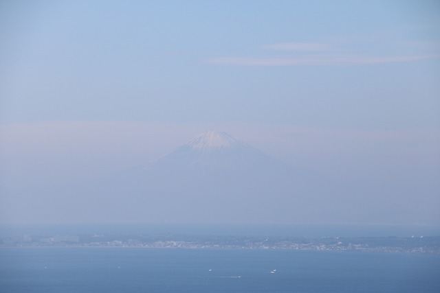 70255c83.jpg