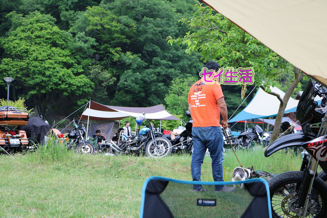 cfa08463.jpg