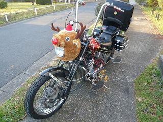 トナカイ君とSTEED