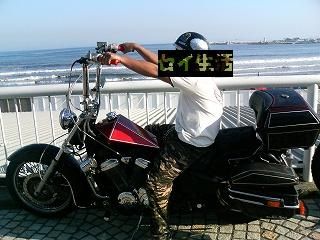 STEED1