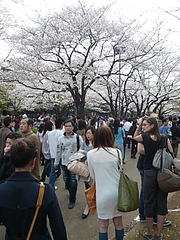 5416636a.jpg