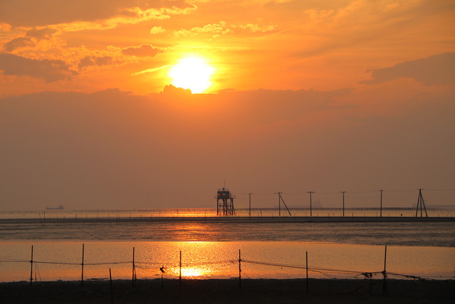 江川海岸 (4)
