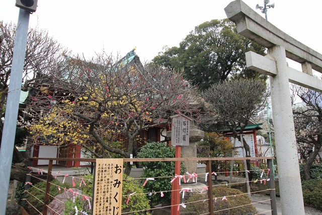 6dda0468.jpg