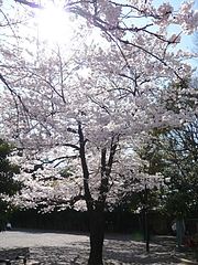 8b020364.jpg