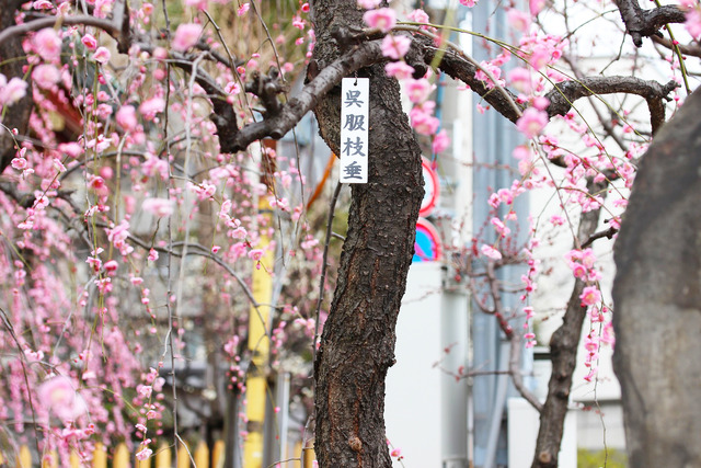 c75d8435.jpg