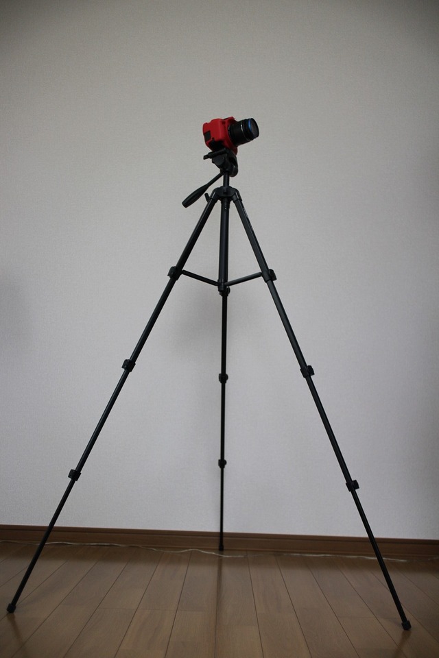 e9160212.jpg