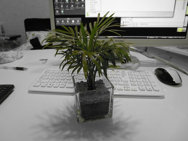 IXY430F (5)