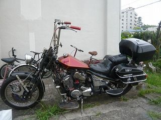 スティード