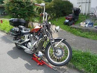 STEED