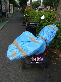 ミニカーとフェンダー