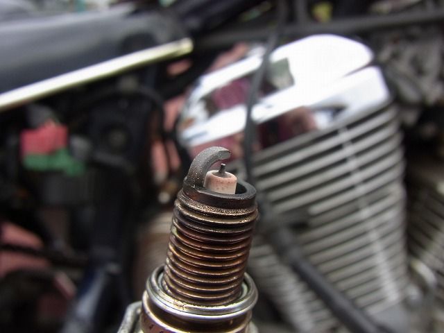 スティードイグニッションコイル (1)