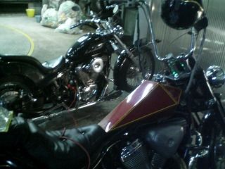 STEED