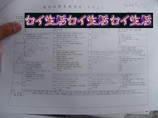 限定自動車検査証(その2)