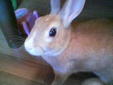 200404130709.jpg