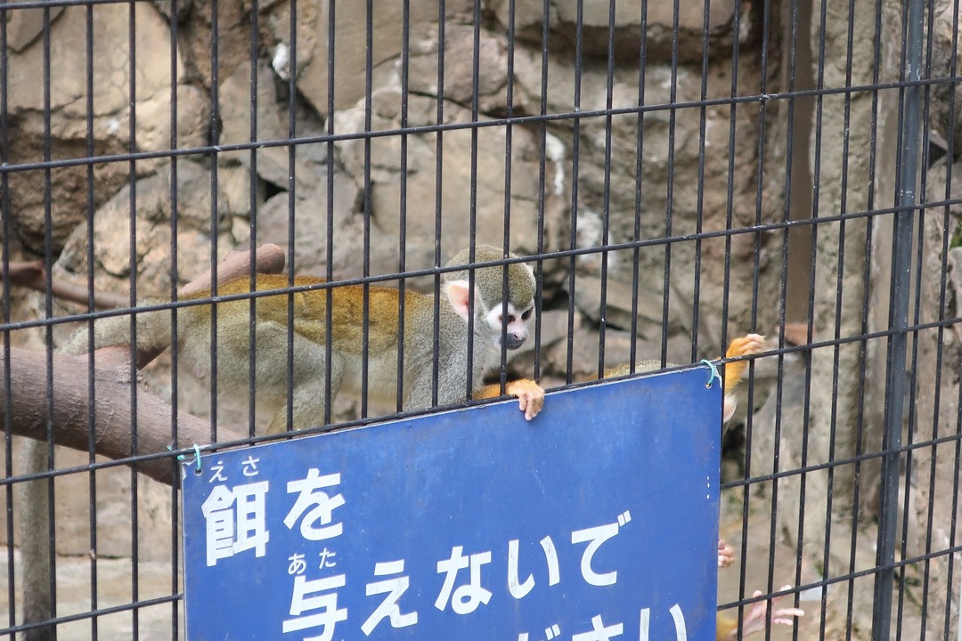 07900b0f.jpg