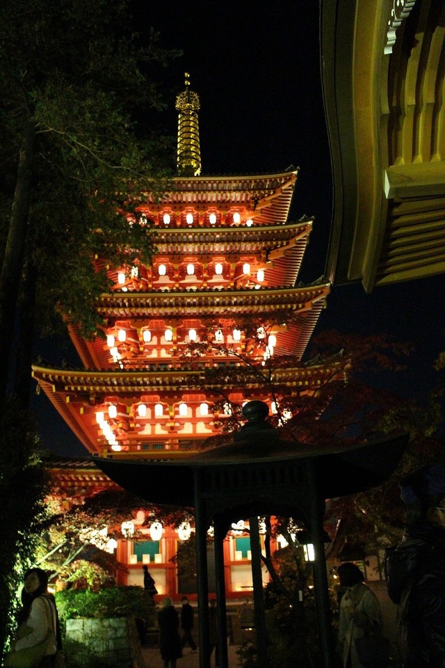 萬灯会 (11)