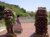 花シーサー