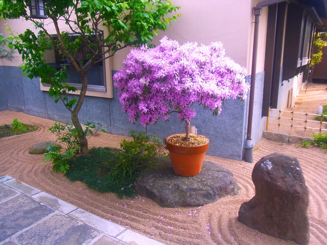 前野原温泉 (3)