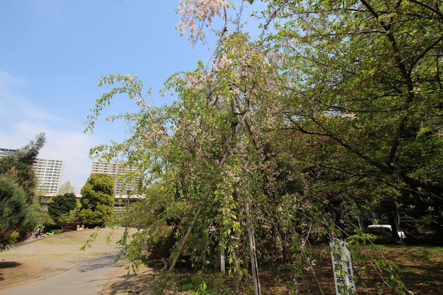 水天宮 (8)