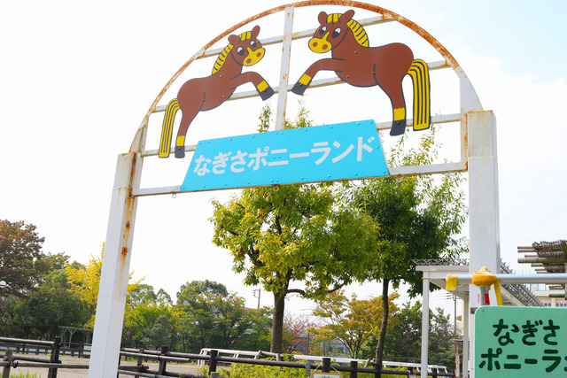 なぎさポニーランド (2)