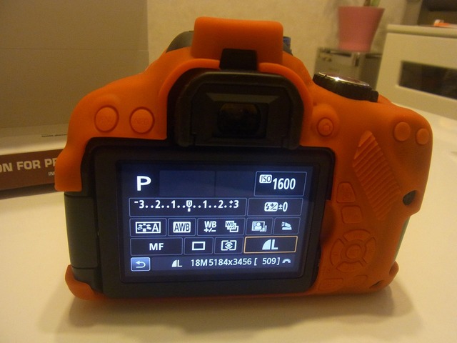 650Dx6i (13)