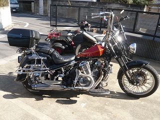 STEED600(スティード)