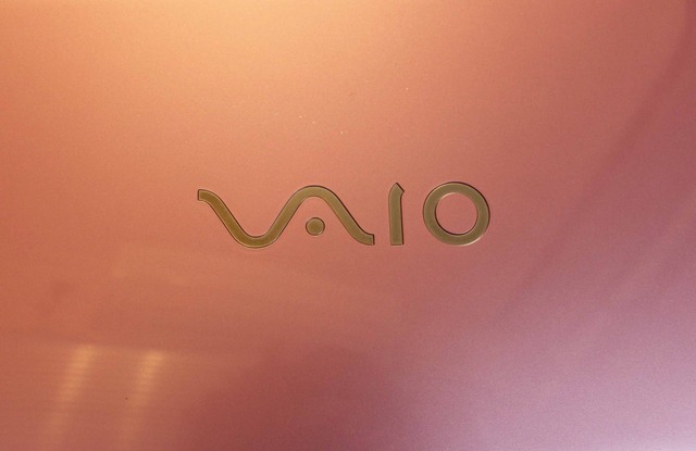 VAIO VGN-CS91HS (1)