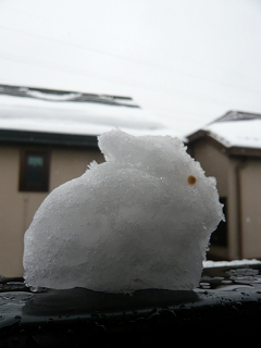 雪うさぎ