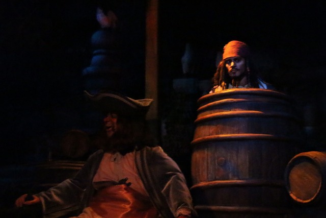 ディズニーランド (9)