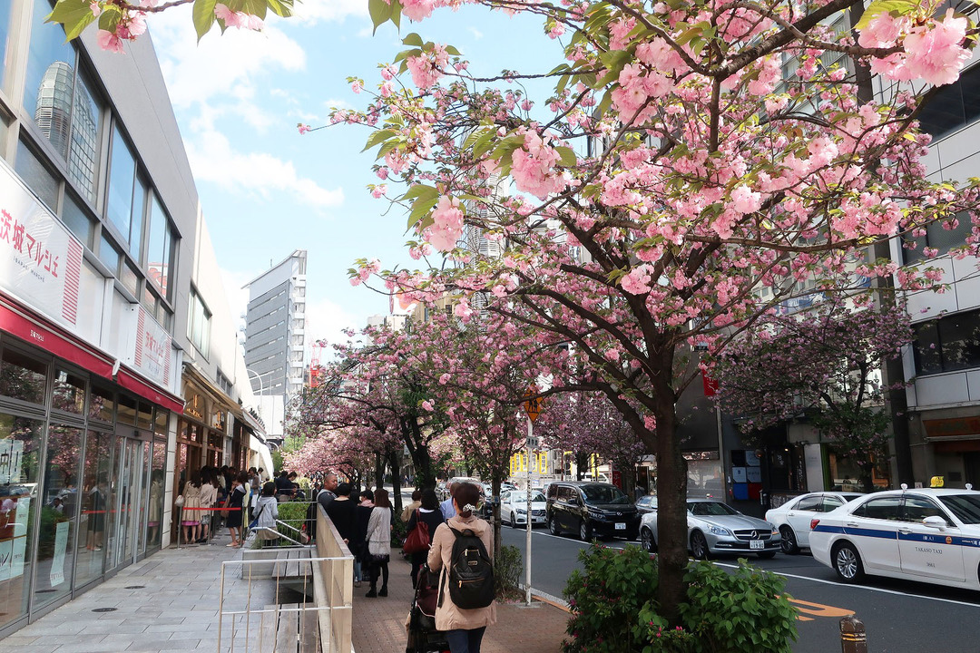銀座さくら通り (2)