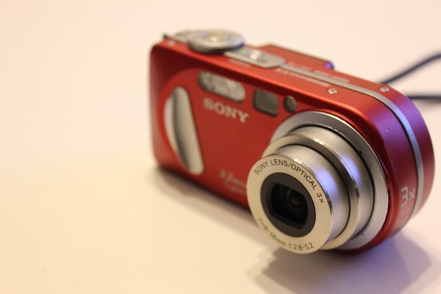 DSC-P8 (4)