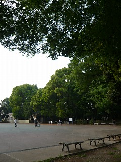 公園