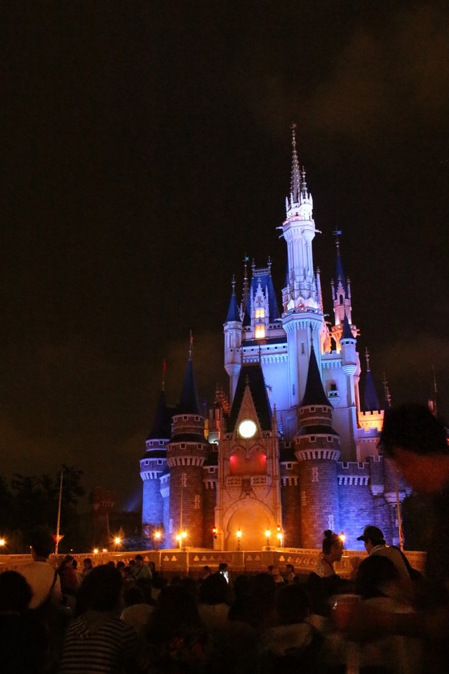ディズニーランド (19)