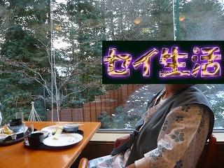 セイ父