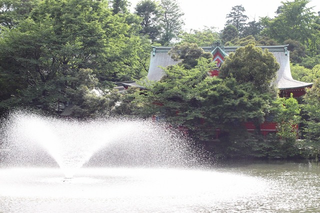 吉祥寺 (3)